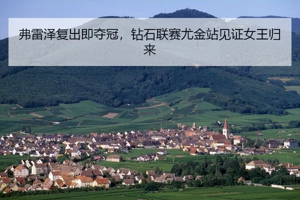 fu-lei-ze-fu-chu-ji-duo-guan-zuan-shi-lian-sai-you-jin-zhan-jian-zheng-nv-wang-gui-lai-2-313.jpg