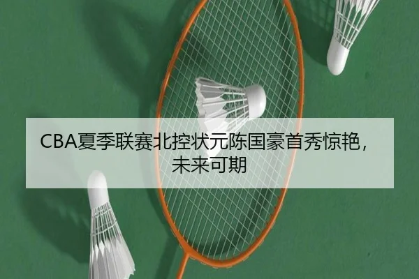 CBA夏季联赛北控状元陈国豪首秀惊艳，未来可期